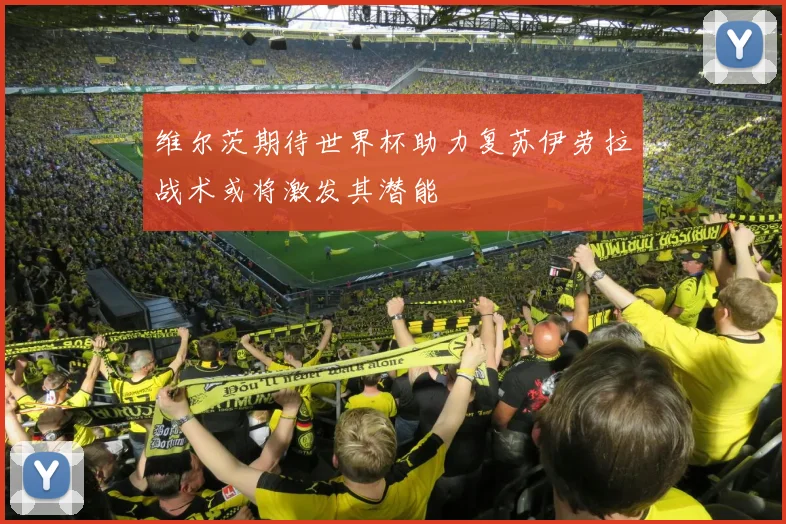 维尔茨期待世界杯助力复苏伊劳拉战术或将激发其潜能